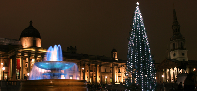 The Trafalgar Square Christmas tree - Photo by Thea Gunnes